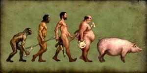 evolution of pork