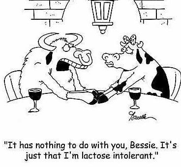 lactose intolerant