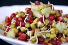 sprouted mung bean pomegranate salad