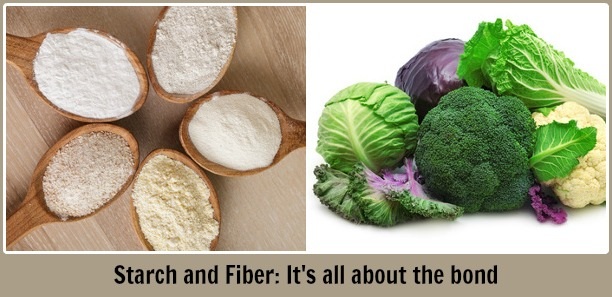 starch and fiber digestive enzymes