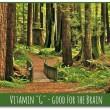 vitamin green good for the brain