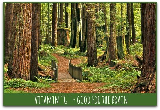 vitamin green - good for the brain