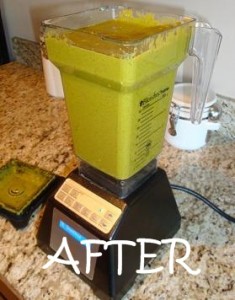 Best smoothie blender ever